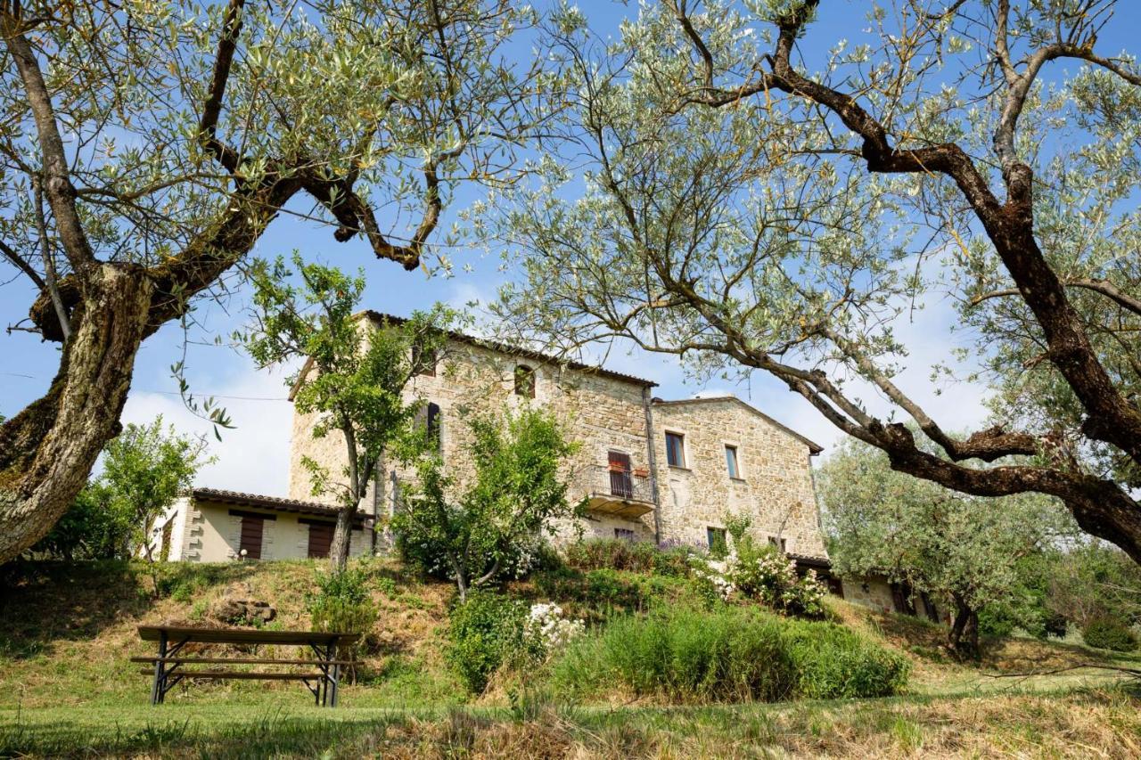 Villa Colle Di Rocco Limigiano Extérieur photo