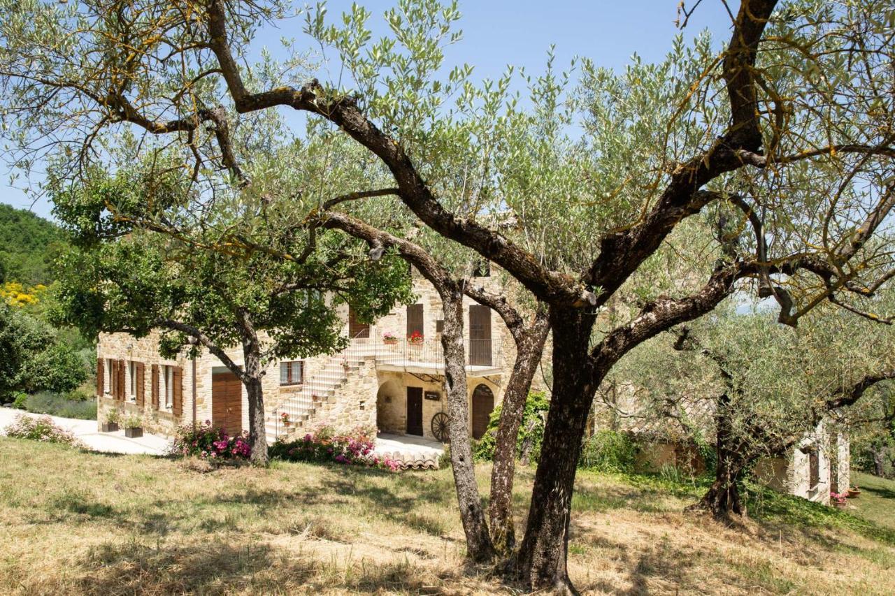 Villa Colle Di Rocco Limigiano Extérieur photo